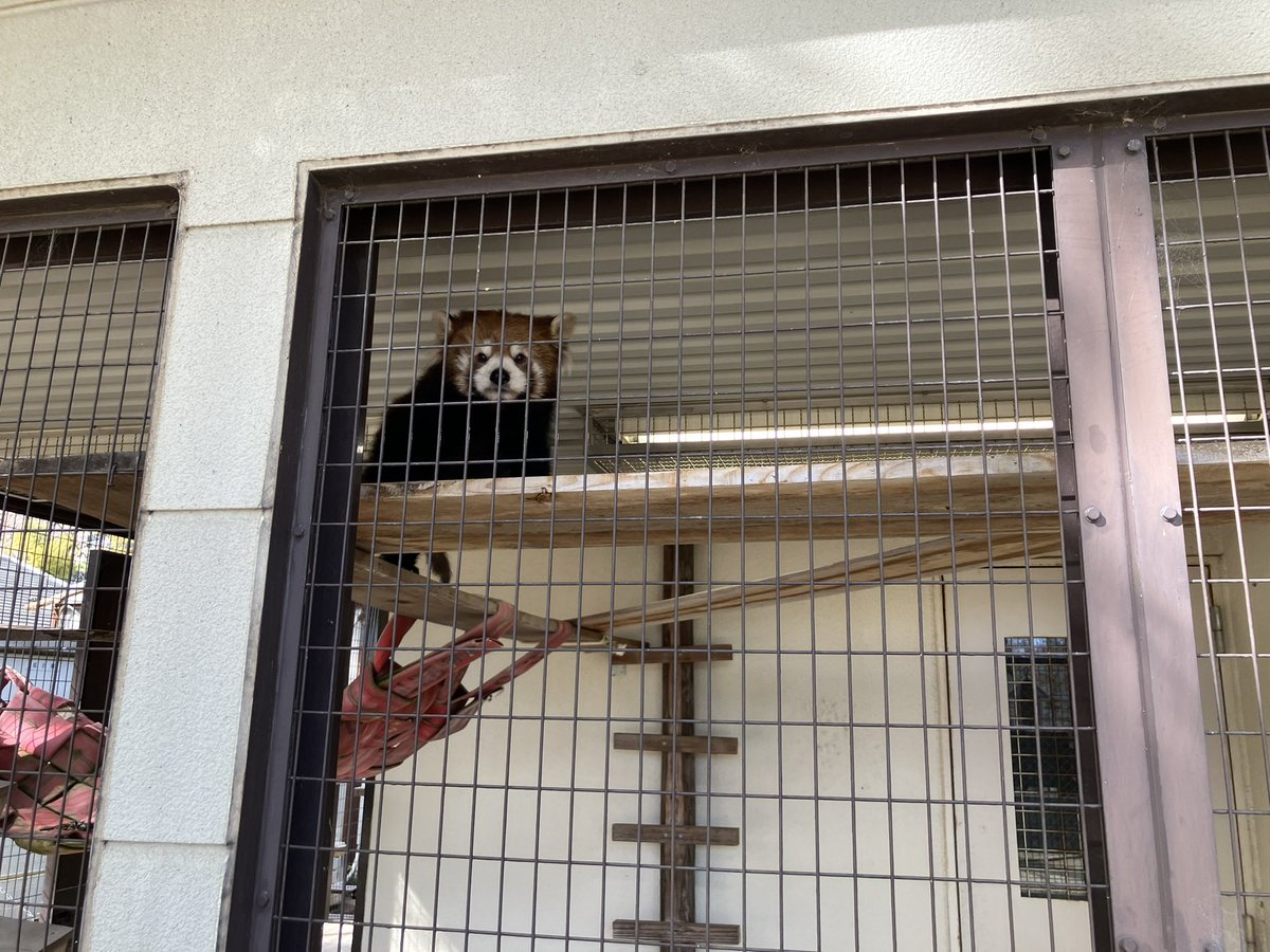 まなつ tweet media