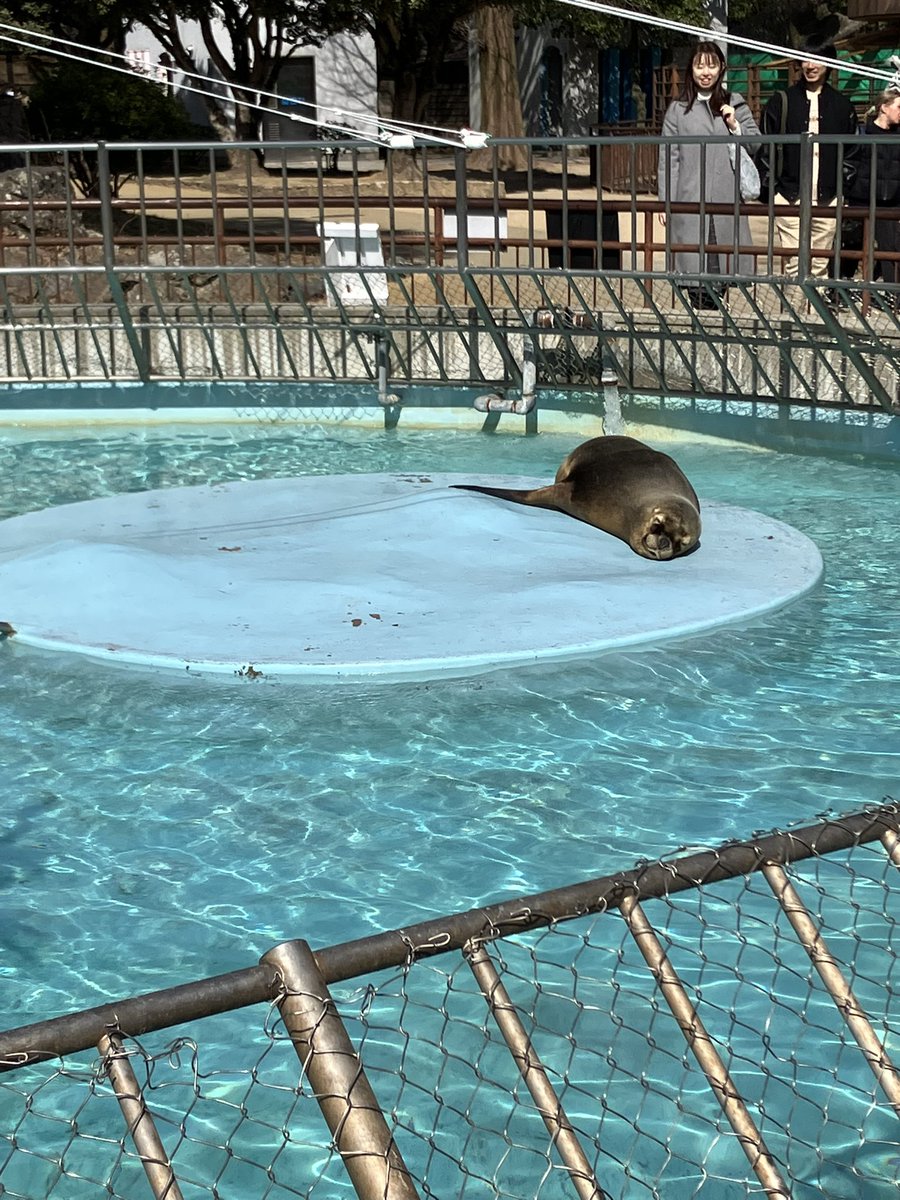 まなつ tweet media