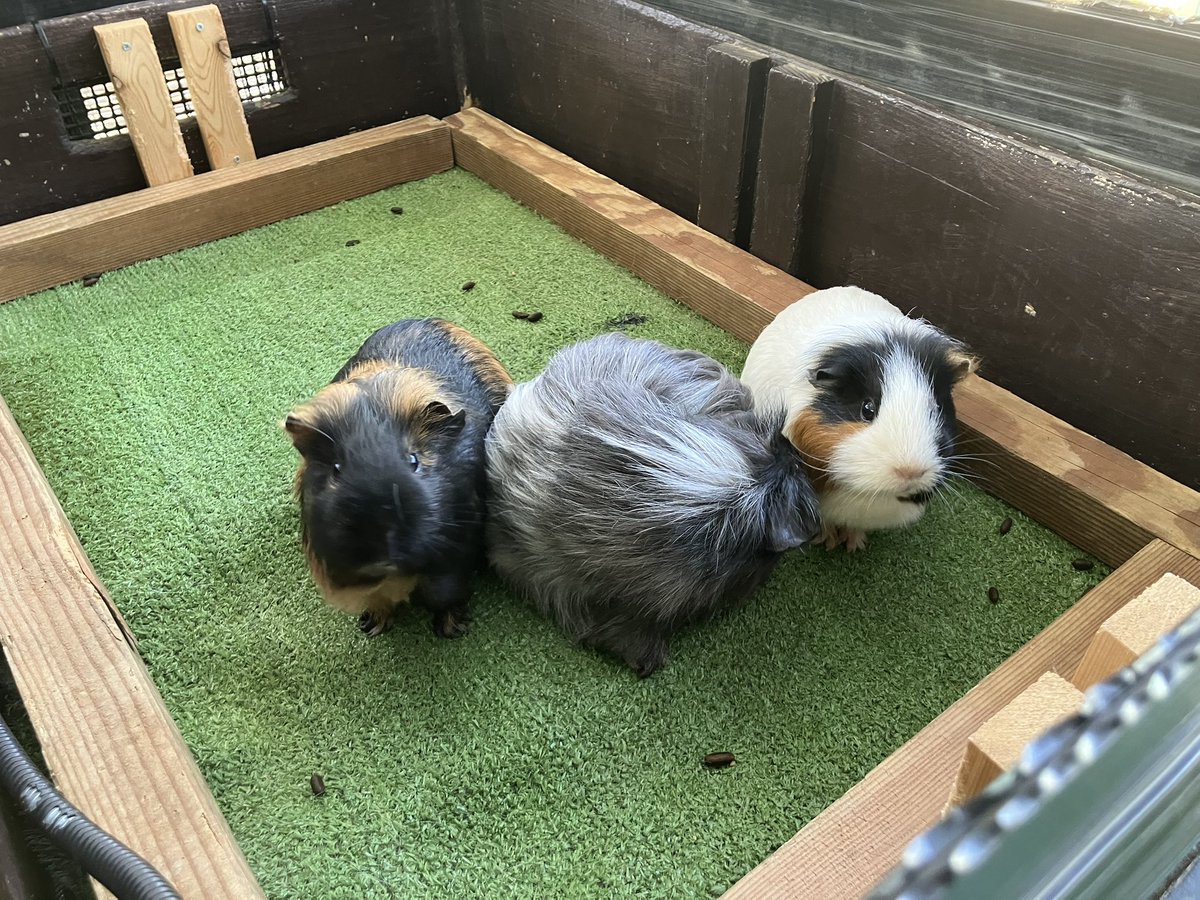 まなつ tweet media