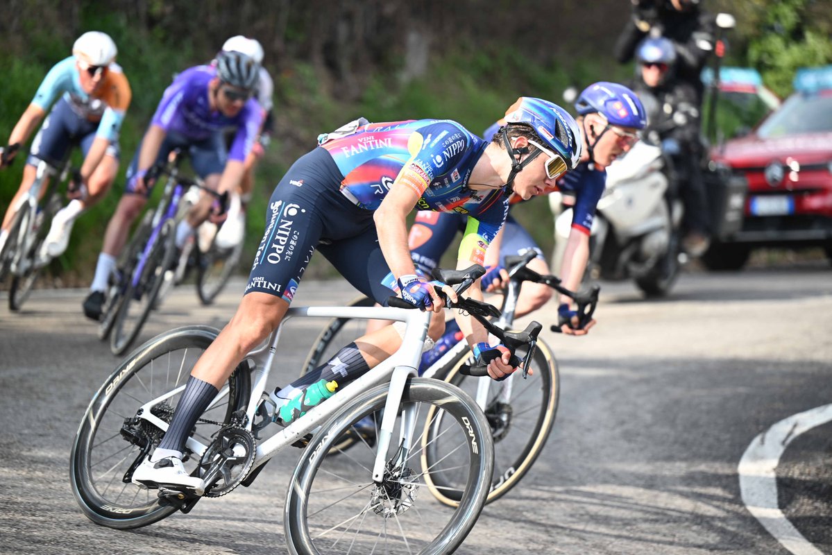 Team Solution Tech - NIPPO - Rali tweet media