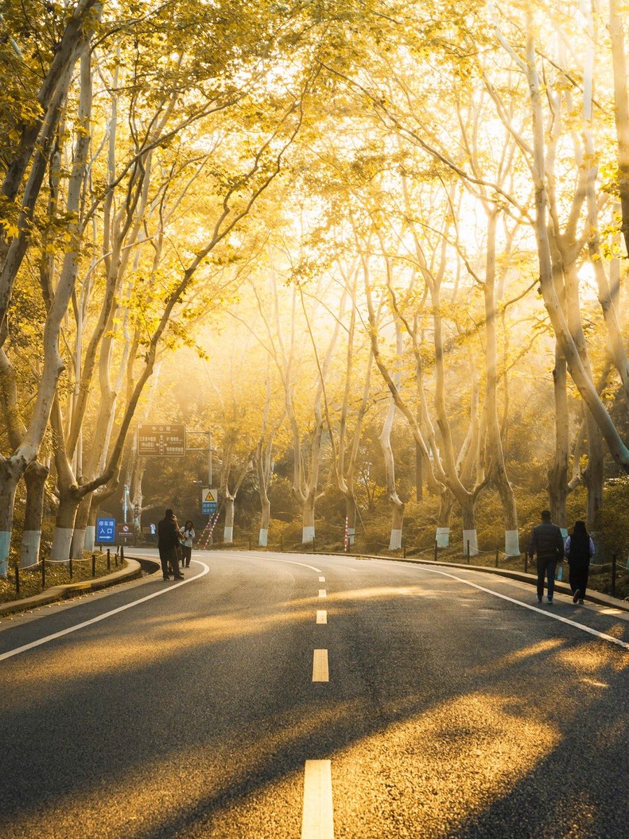 pablo Antonio tweet media