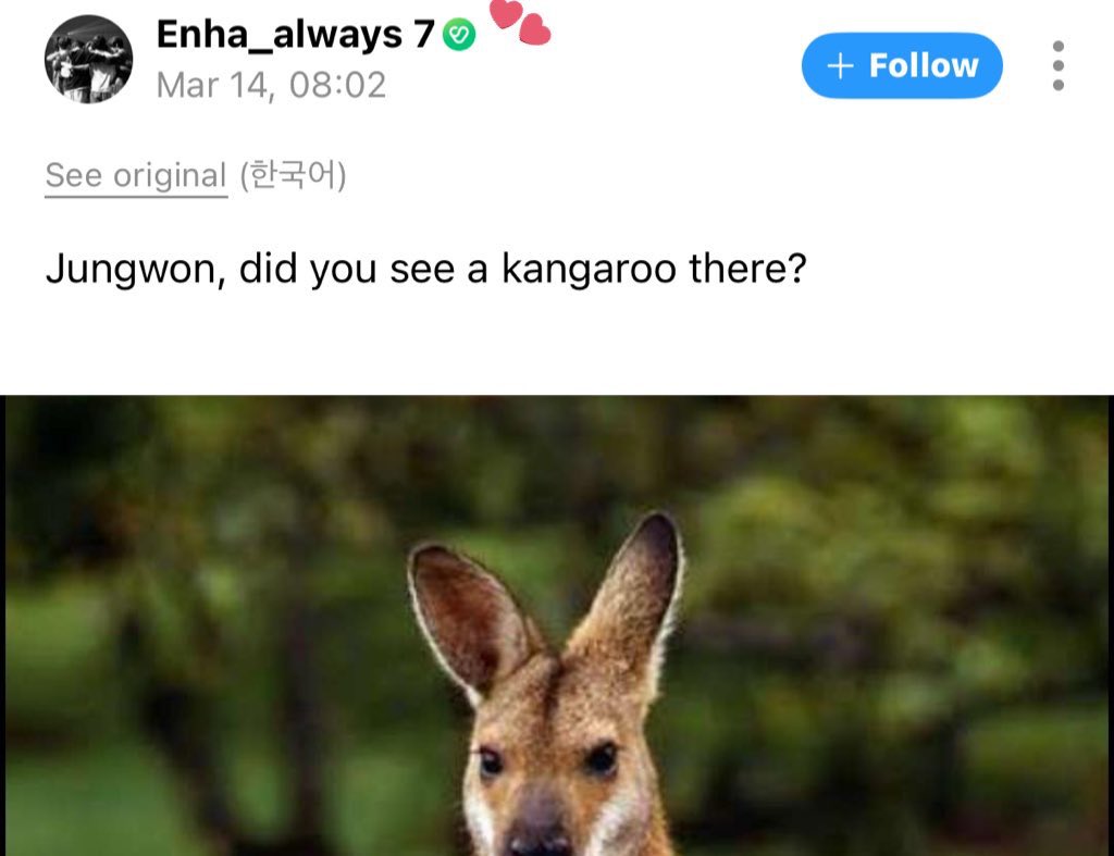 the users jungwon is replying to on weverse…