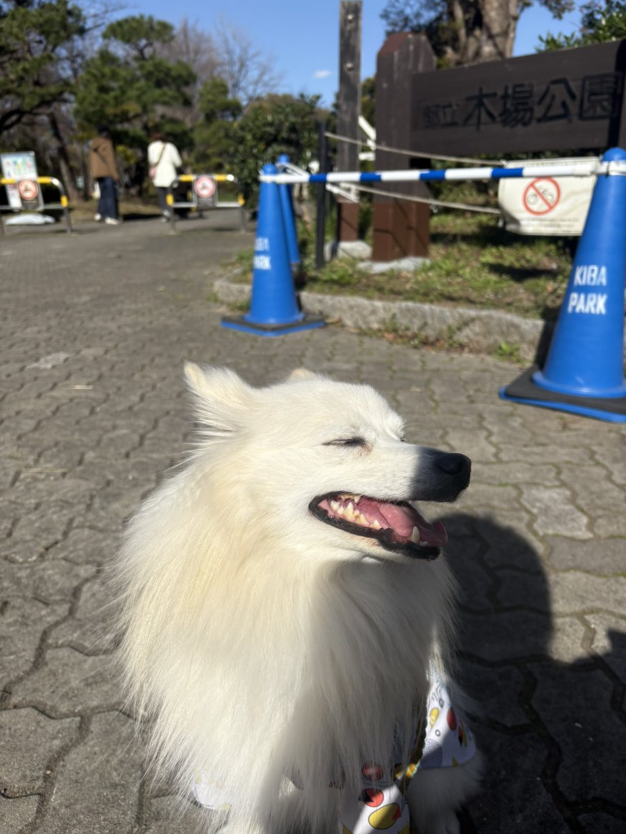 NOVA_X_225's tweet photo. NOVAとデートPart2 https://t.co/VkUiSMnLk7