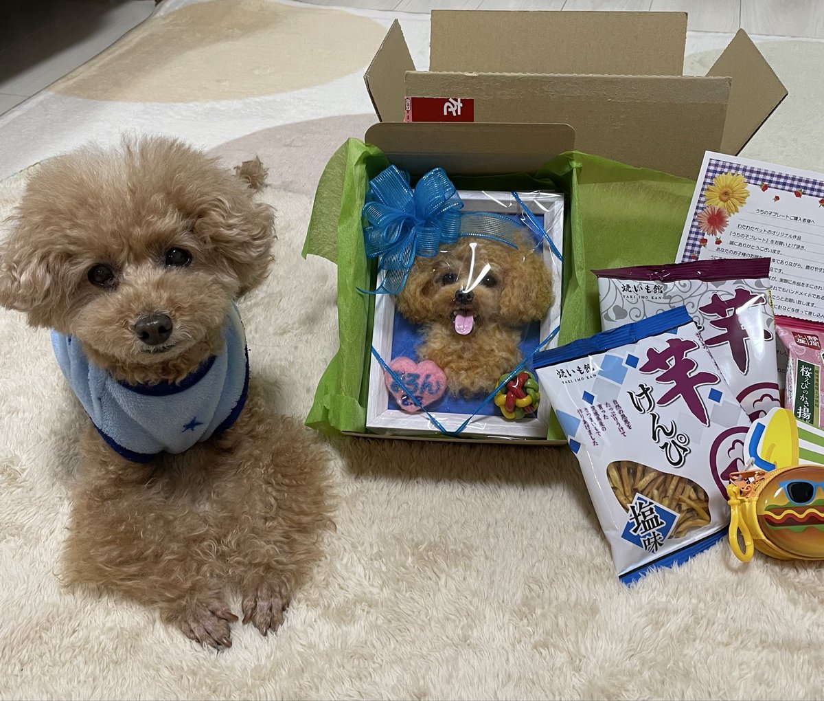 わたわた様専用 わたわた@様専用 シャイニースカイ。チャレンジ わたわた様専用 わたわた@様専用 シャイニースカイ。チャレンジ