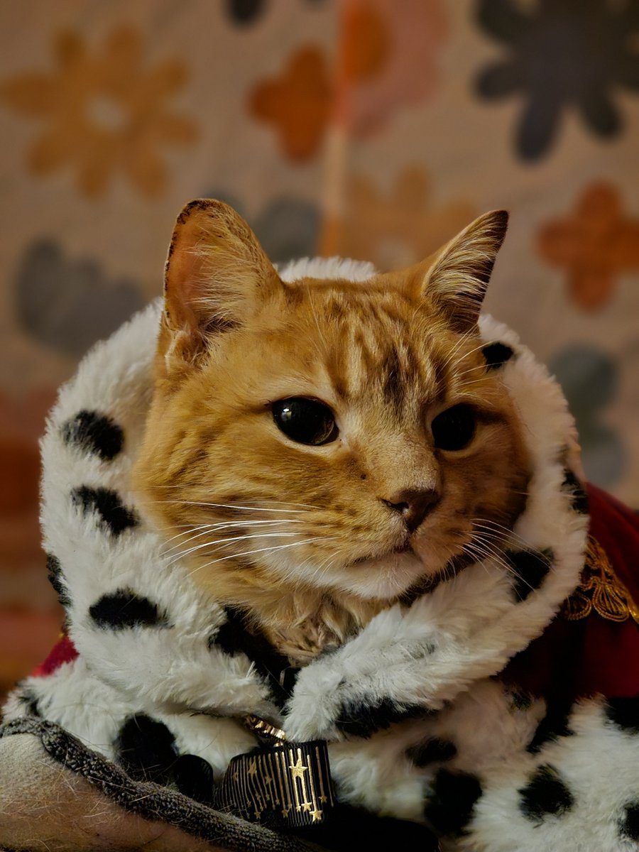 maleficia 𓅯 mtheythem.bsky.social tweet media