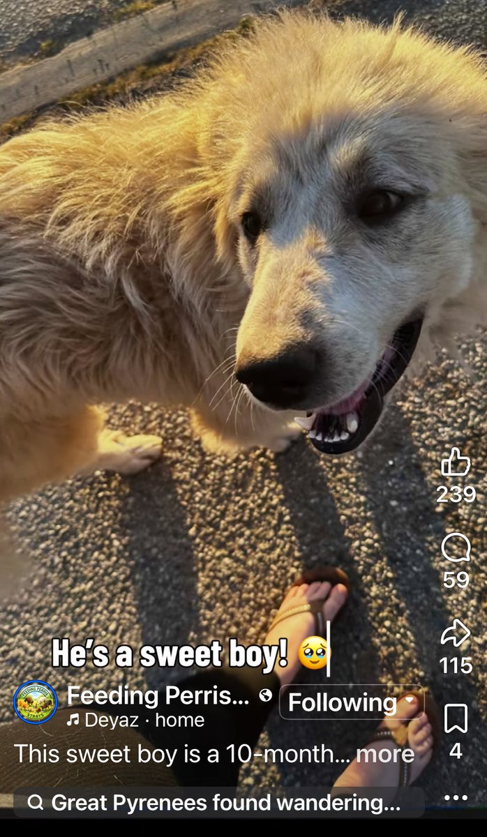 RevaliTheBerner tweet media