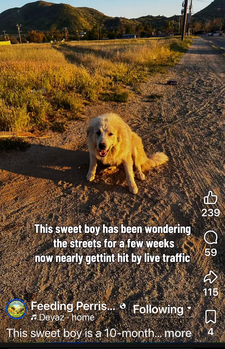 RevaliTheBerner tweet media