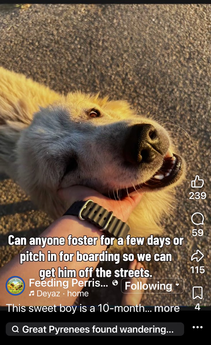 RevaliTheBerner tweet media