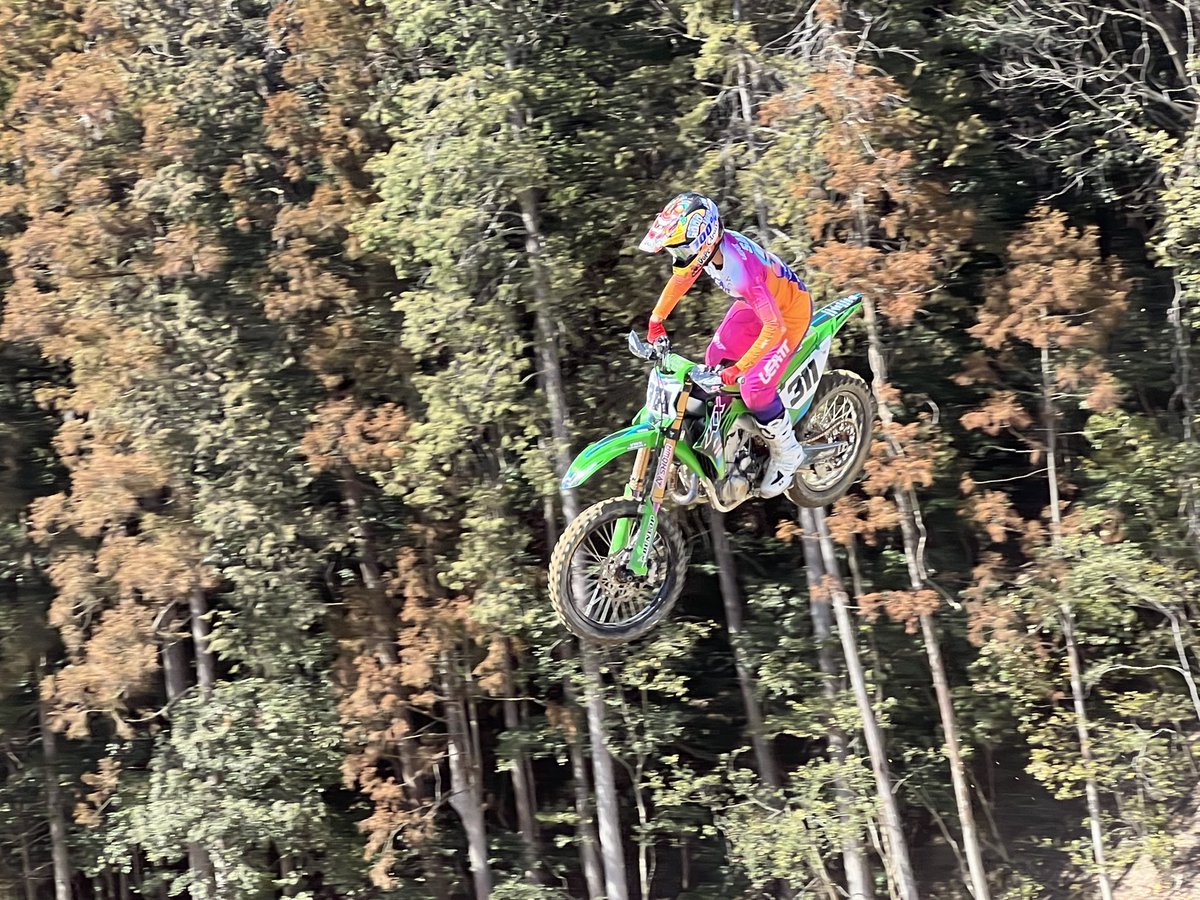 ピュアテック 皇帝ペンギン様 tweet media