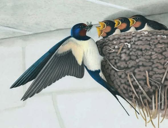 Την καλημέρα μου καλό Σαββατοκύριακο να έχουμε 
Ή φύση δημιουργεί.....🙏☀️☕