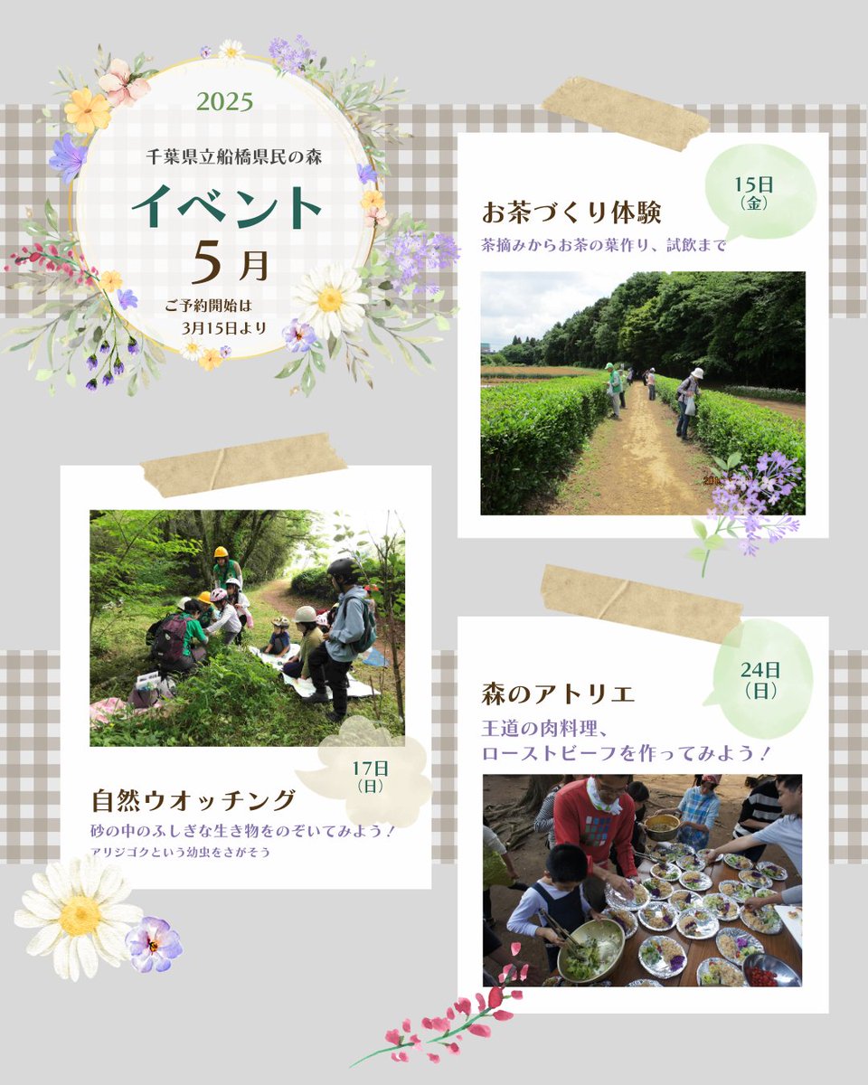 funakenminmori's tweet photo. 5月のイベントのお知らせです！

🌲15日（金）お茶づくり体験
茶摘みからお茶の葉作り、試飲まで

🌲17日（日）自然ウオッチング
砂の中のふしぎな生き物をのぞいてみよう！

🌲24日（日）森のアトリエ
王道の肉料理、ローストビーフを作ってみよう！

皆さまのご参加をお待ちしております。 https://t.co/h1eb5LT21a