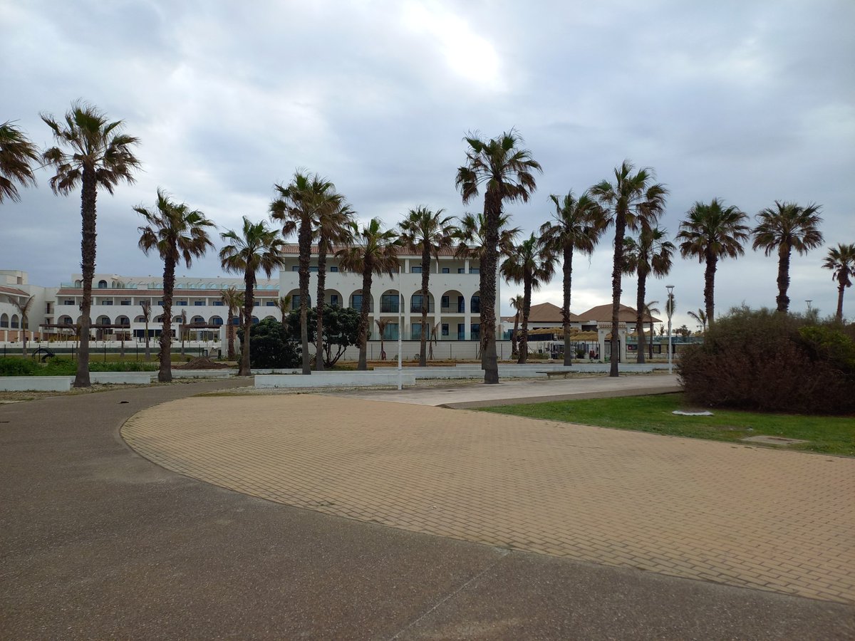 Dan Luca tweet media