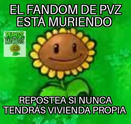 𝑫𝒆𝒔𝒕𝒆𝒍𝒍𝒐 𝒔𝒐𝒍𝒂𝒓 (𝙈𝙪𝙡𝙩𝙞 𝙋𝙅) tweet media