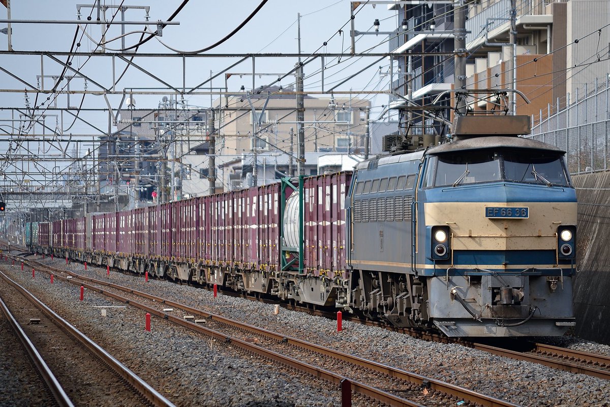 rokuyn1003's tweet photo. #ありがとうEF66

2017/03/02
入換〜3096レ：EF66 36
倉賀野

2017/03/12 
5082レ：EF66 36+コキ
東浦和

2017/05/10
4073レ：EF66 30+コキ
北府中

2017/06/15
4073レ：EF66 30+コキ
新鶴見 https://t.co/30rgAURQzP