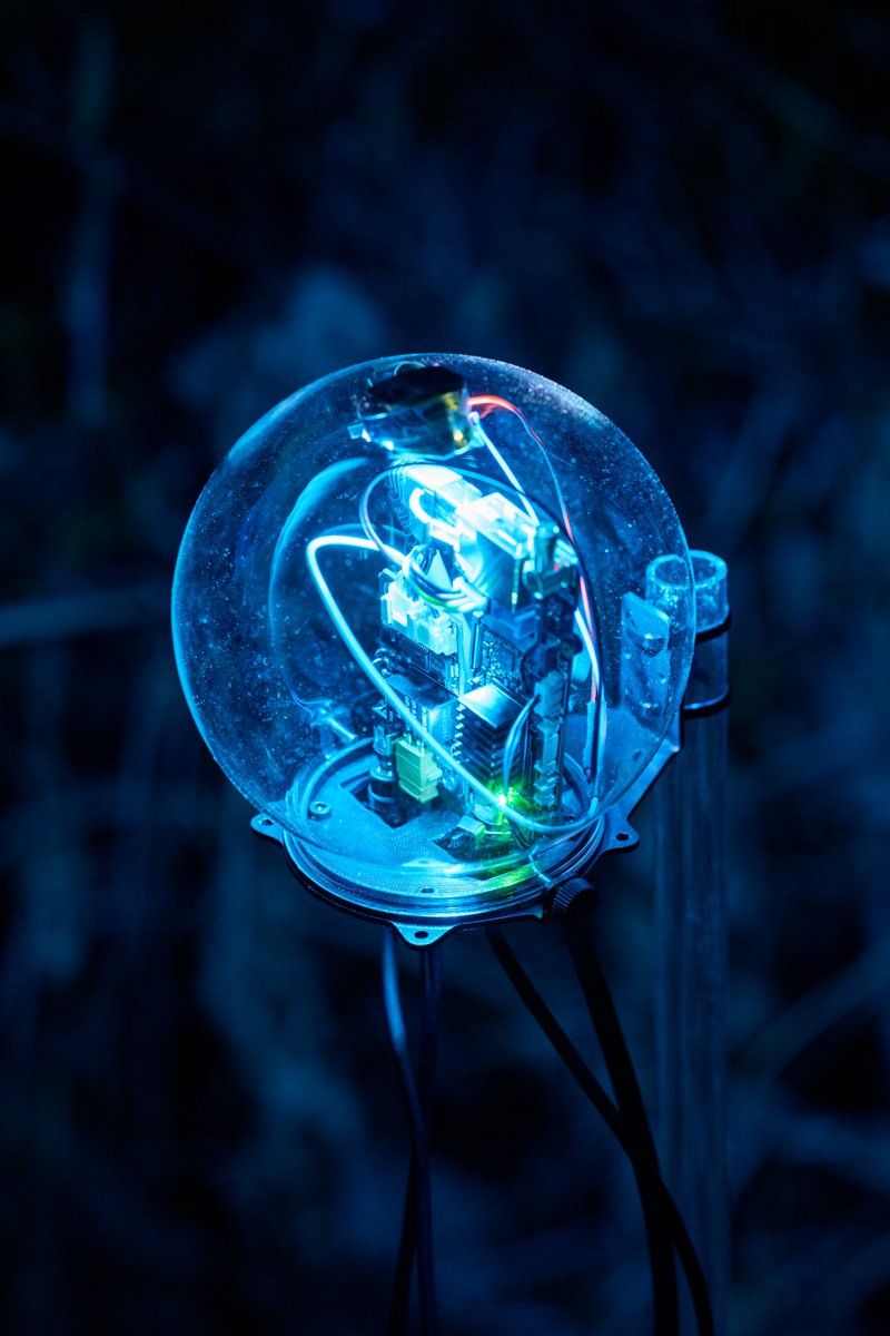 abstract_engine tweet media