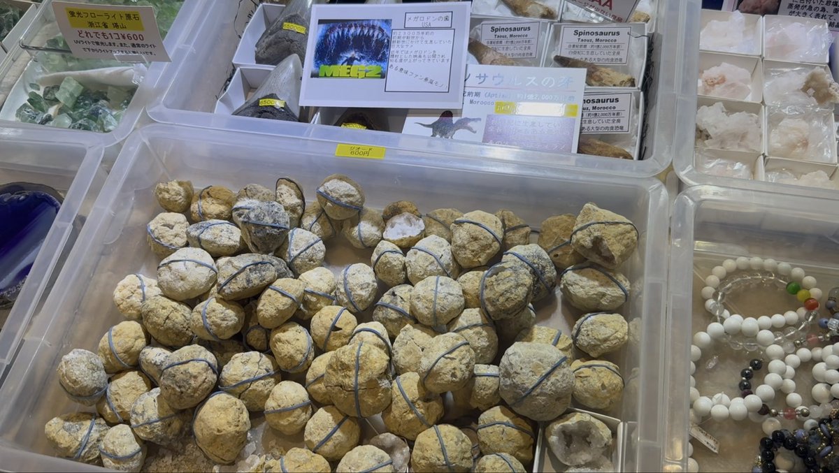 夢宮ゆり🐈👑石沼💎小学生Vtuber@ママの人 tweet media