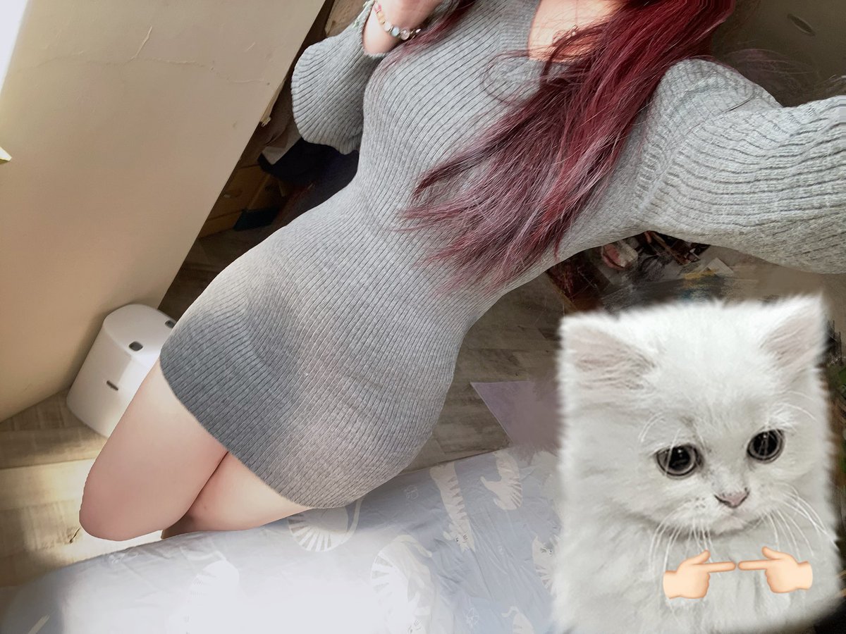 你的禎(՞ ܸ. .ܸ՞)︎♡ tweet media