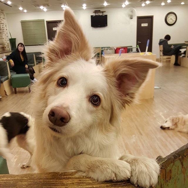 Izzy Saks tweet media