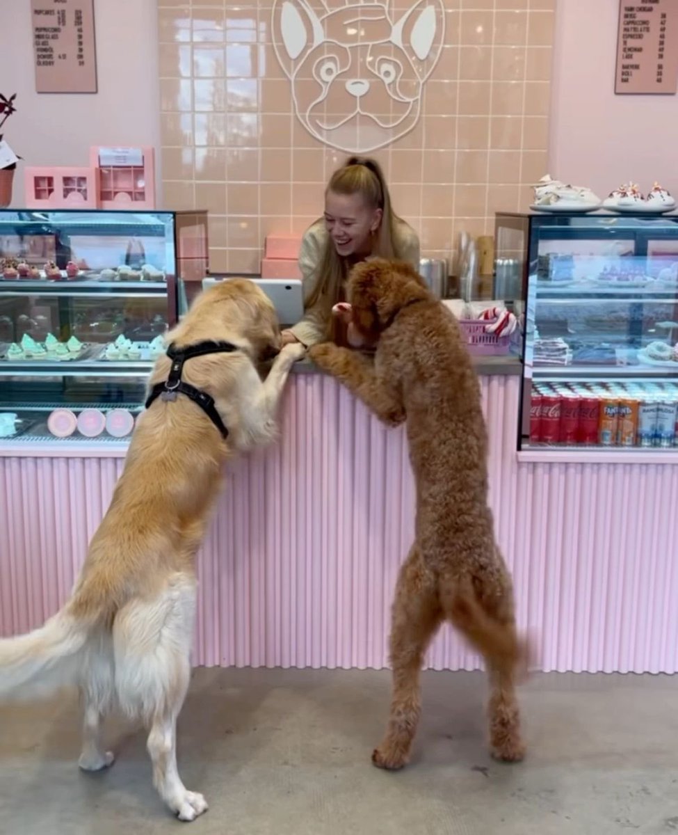 Izzy Saks tweet media