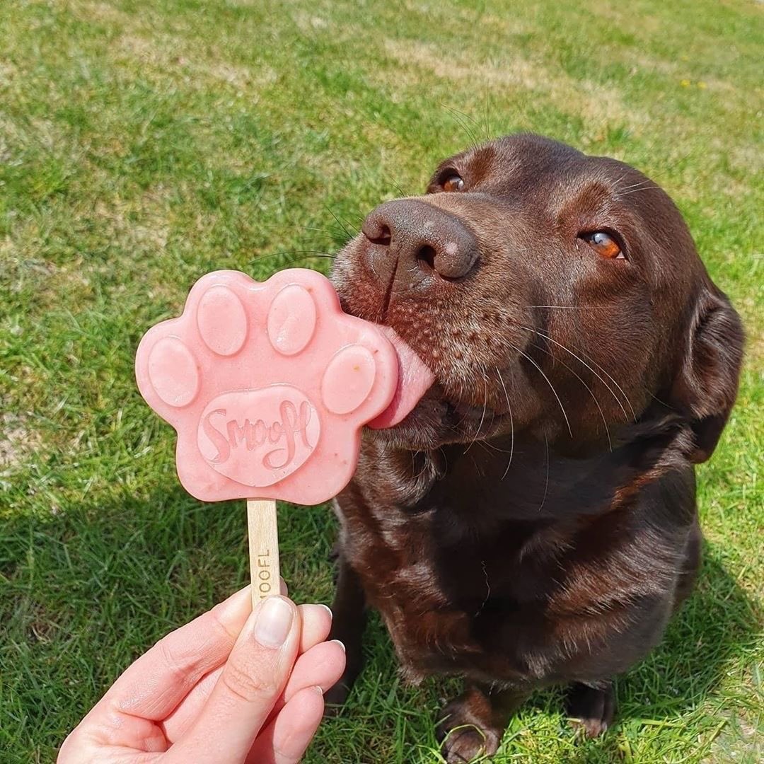 Izzy Saks tweet media