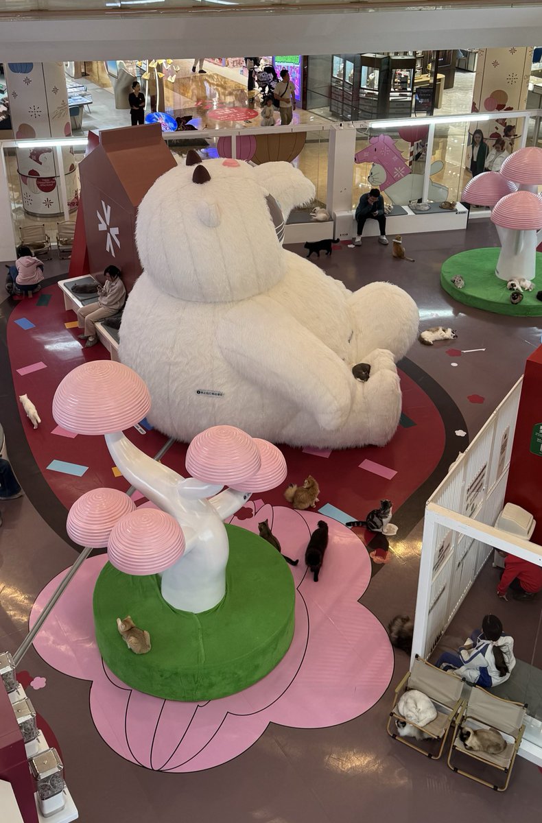 Snacky Boy 🍟 tweet media