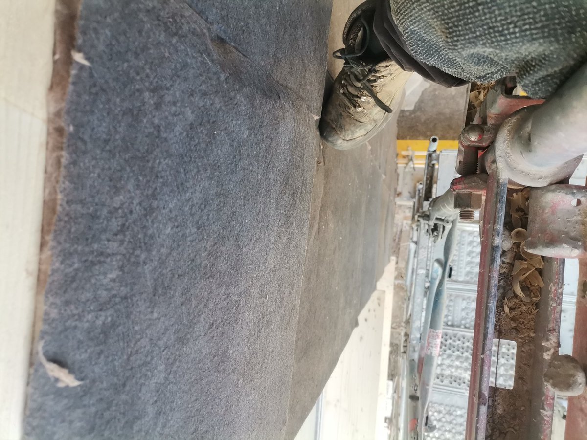 Blub🌍 tweet media