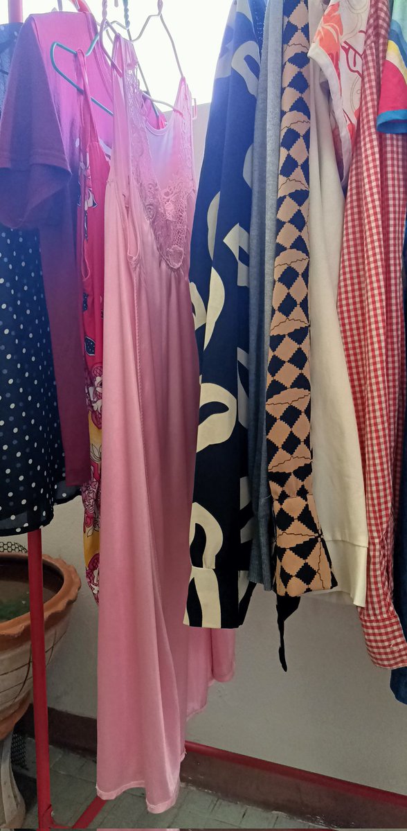 แมวเป็นสัตว์กินเนื้อ tweet media