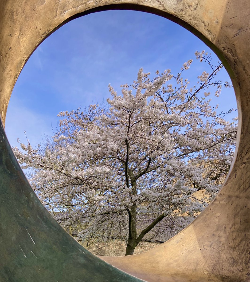 Sandy De Born tweet media