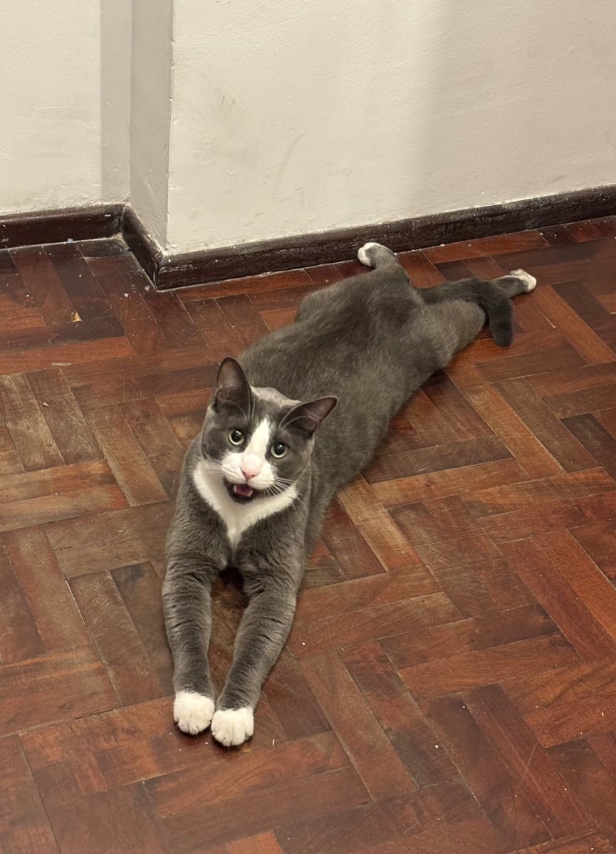 emily 🌷 tweet media