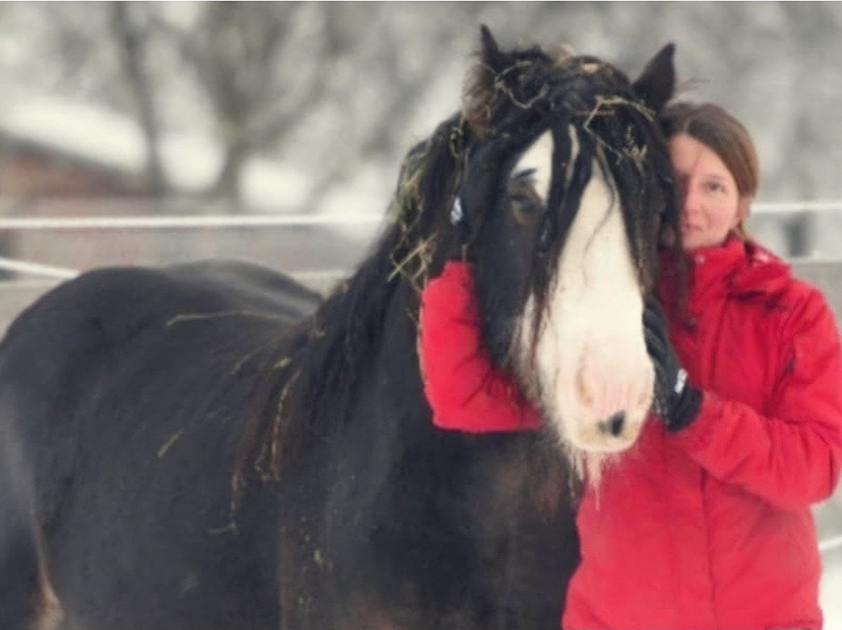 Robert Maślak tweet media