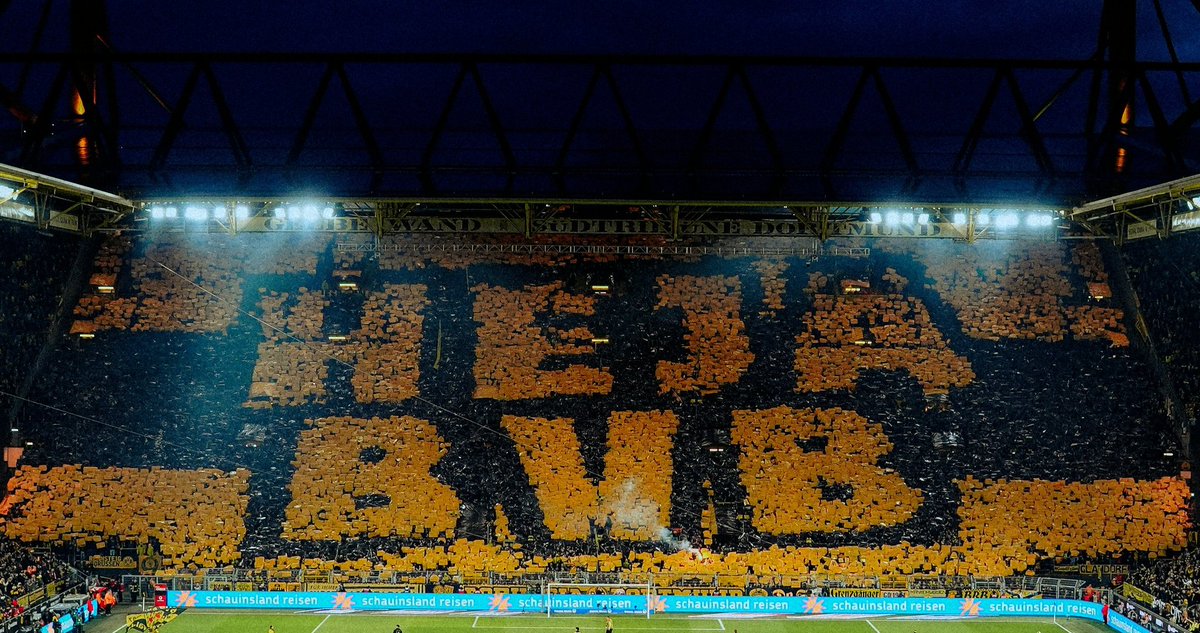 rucola09's tweet photo. Spieltach 🖤💛 #bvbfca https://t.co/EBnd8vMyRA
