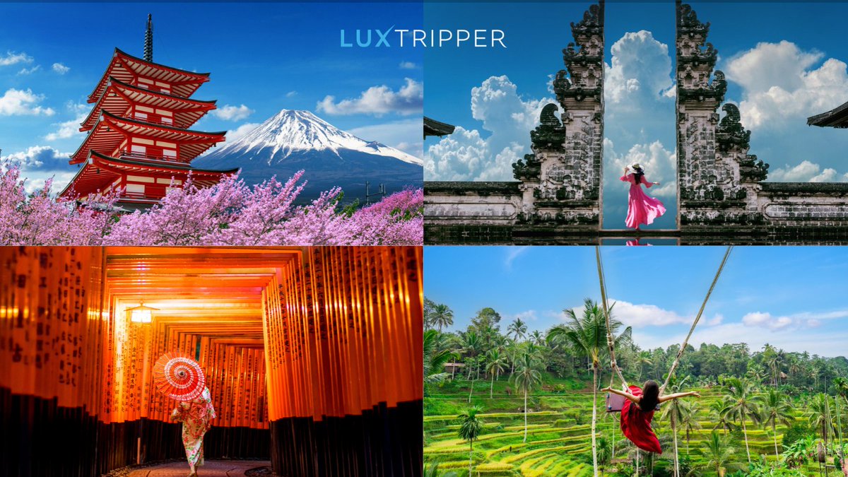 Luxtripper tweet media