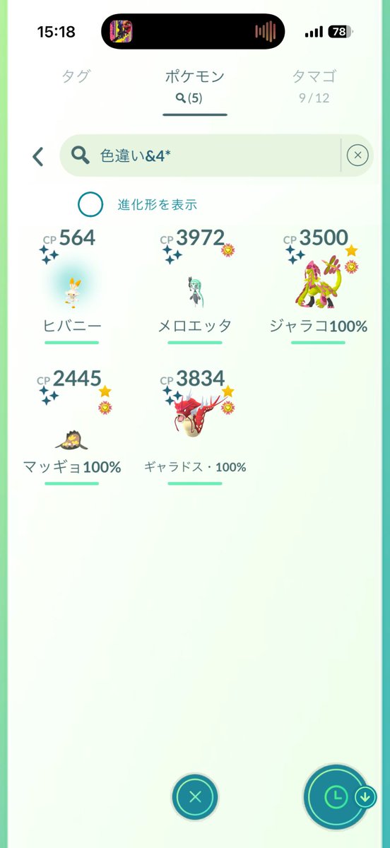 たぬき tweet media