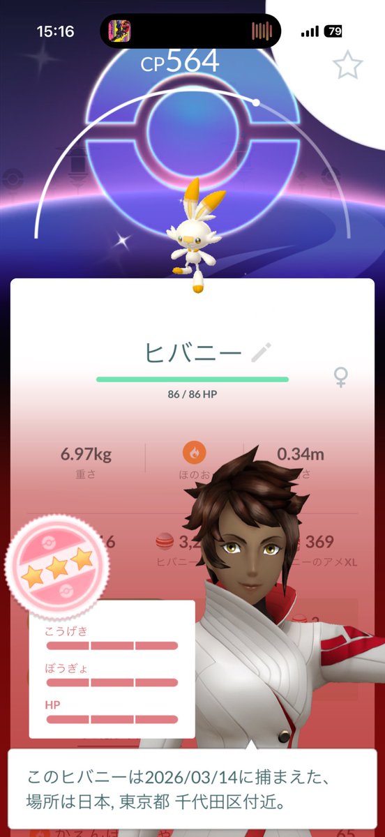 たぬき tweet media