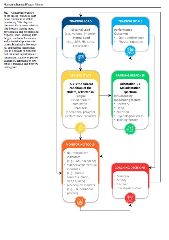 Tim Gabbett tweet media