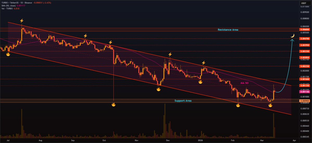 ARI ZAIM tweet media