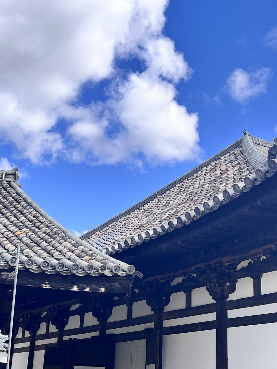 ぶーぶー(ぶぶたろー) tweet media