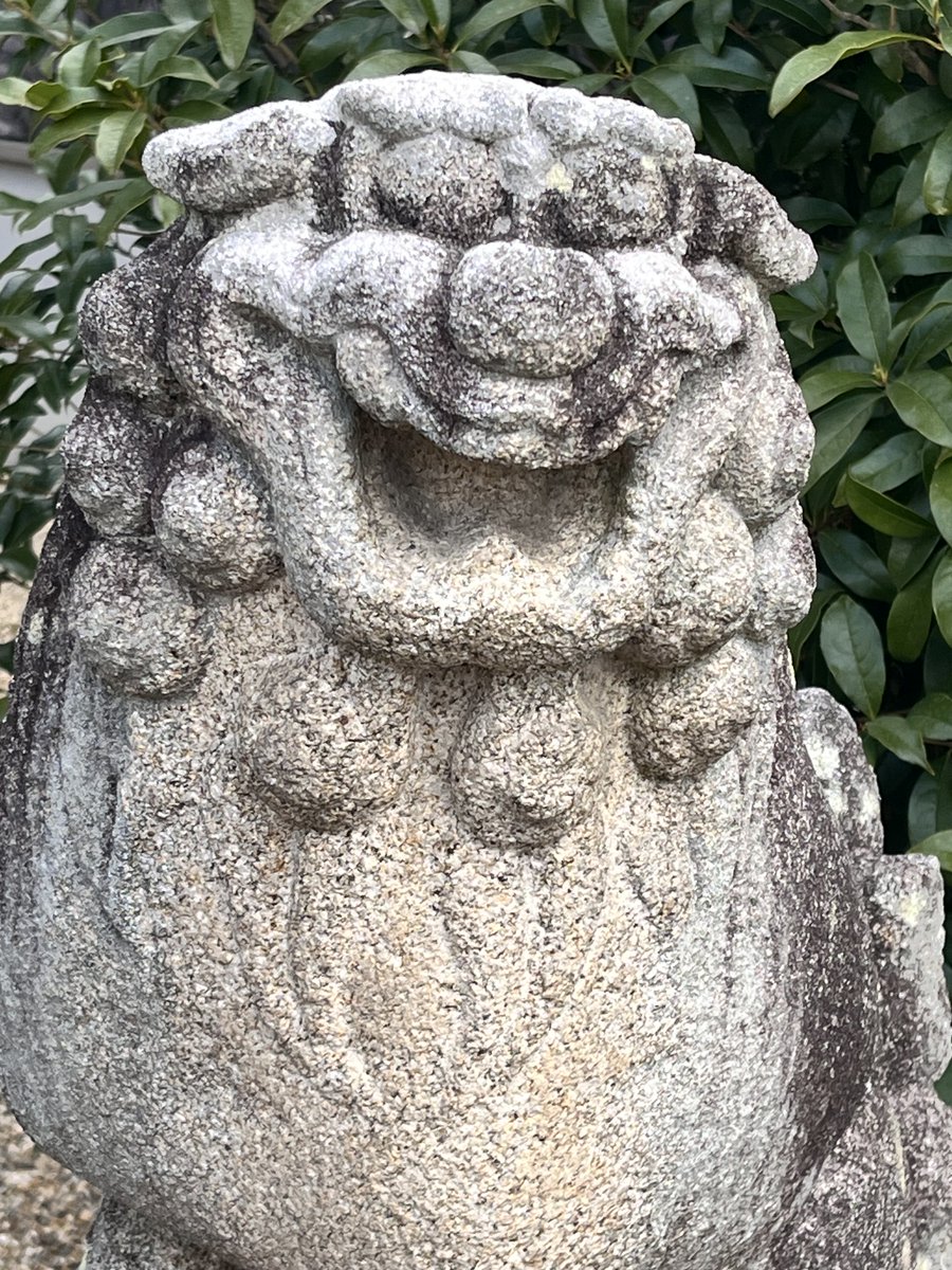 ぶーぶー(ぶぶたろー) tweet media