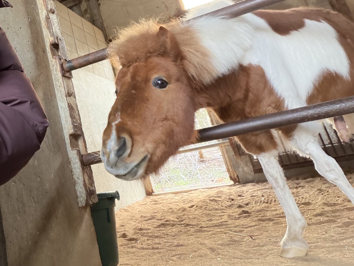 はっぴー tweet media