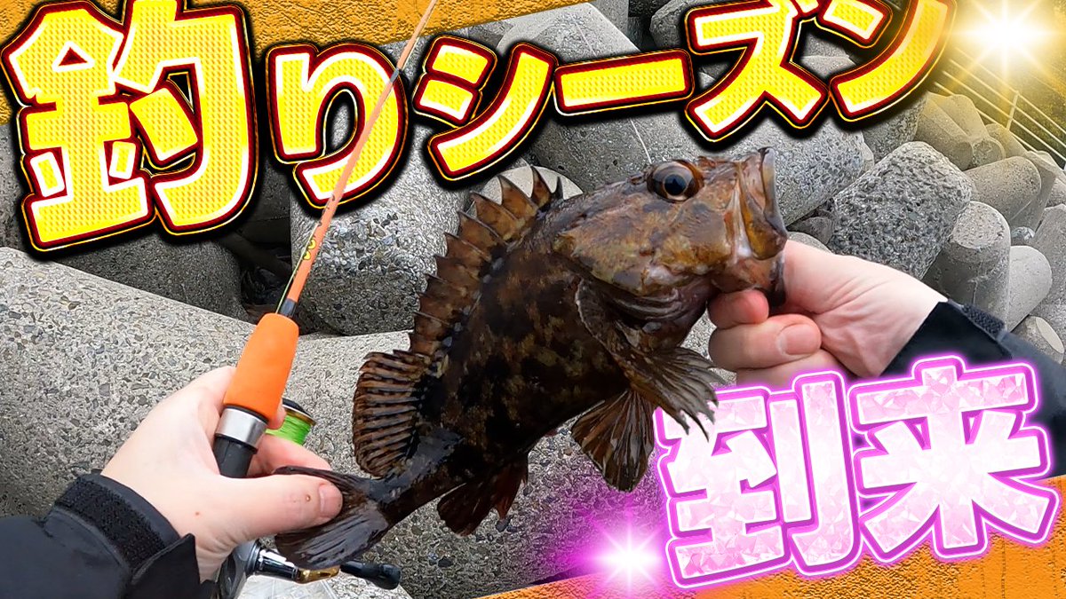 OSGcamp's tweet photo. 【釣りシーズン到来】そろそろ春だ！今年一発目の動画は穴釣り⁉ https://t.co/pQlGCBctgV @YouTubeより 
#釣りシーズン #カサゴ #穴釣り https://t.co/dVFS3lse6J