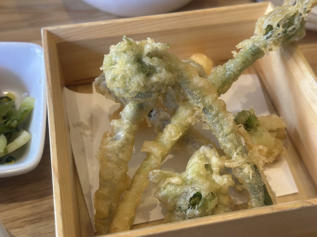 nanami_tabelog's tweet photo. #やまがた女子蕎麦 の企画で、
今日は東京代々木の山形蕎麦茶寮 月の山 さんでランチ🍽
太くパツパツとしたお蕎麦に山形を感じながら、春の山菜天ぷらや筍、玉こんにゃくの小鉢もついて大満足でした🥹
思わず山形の日本酒も頼んでしまう🍶 https://t.co/wWWom7MYl4