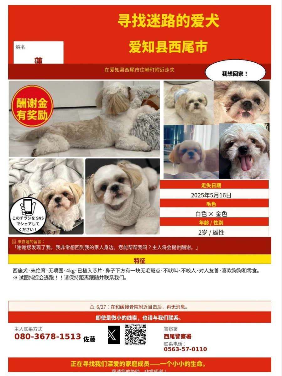 犬山イヌ代 tweet media