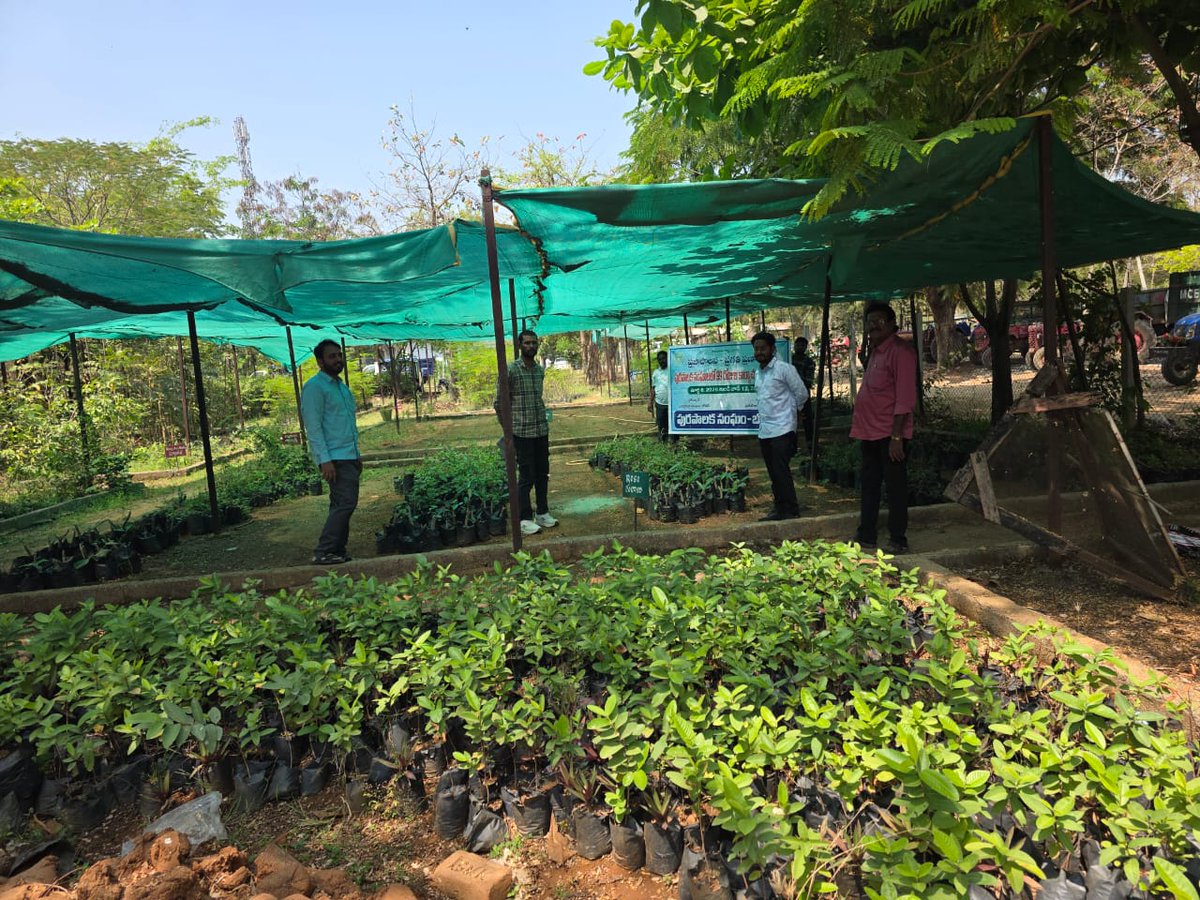 MC_Bodhan's tweet photo. As a part of 99 Days Action Plan - Praja Palana Pragati Pranalika, Visited Nursery, preparation of plantation in mansoon and takenup Cleaning of Nursery, 
Bodhan Municipality.
#Telanganaraising2047 https://t.co/oI2MsXjItu