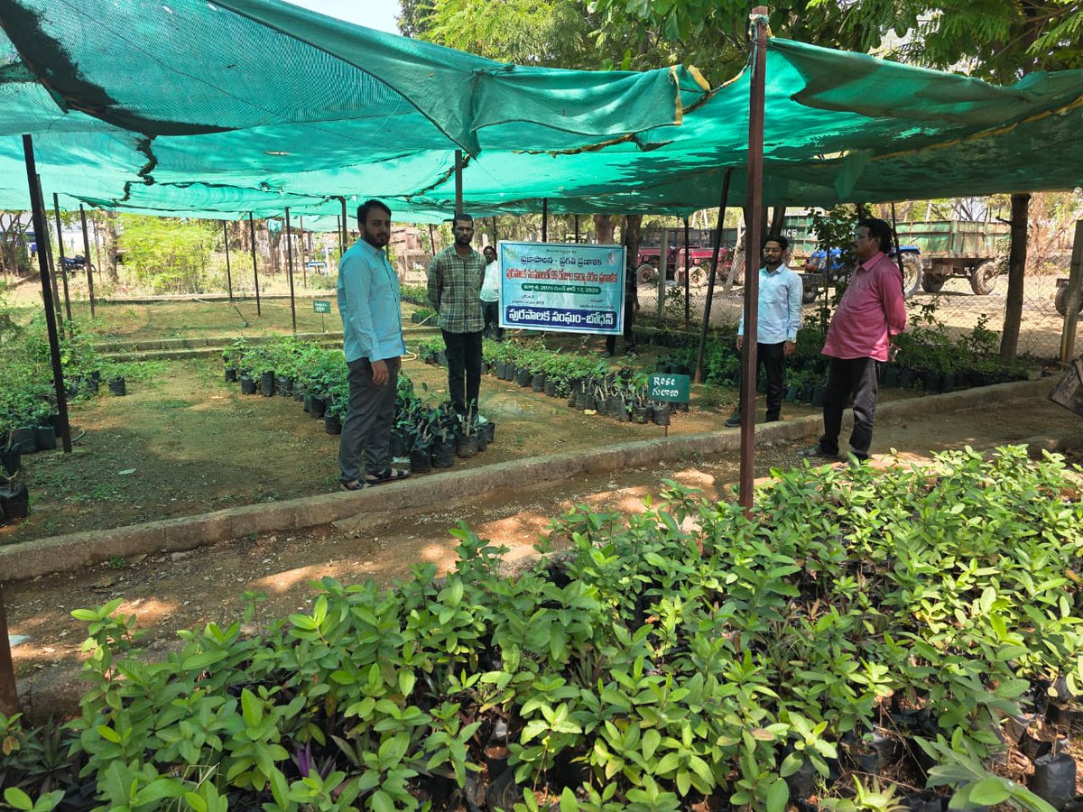 MC_Bodhan's tweet photo. As a part of 99 Days Action Plan - Praja Palana Pragati Pranalika, Visited Nursery, preparation of plantation in mansoon and takenup Cleaning of Nursery, 
Bodhan Municipality.
#Telanganaraising2047 https://t.co/oI2MsXjItu