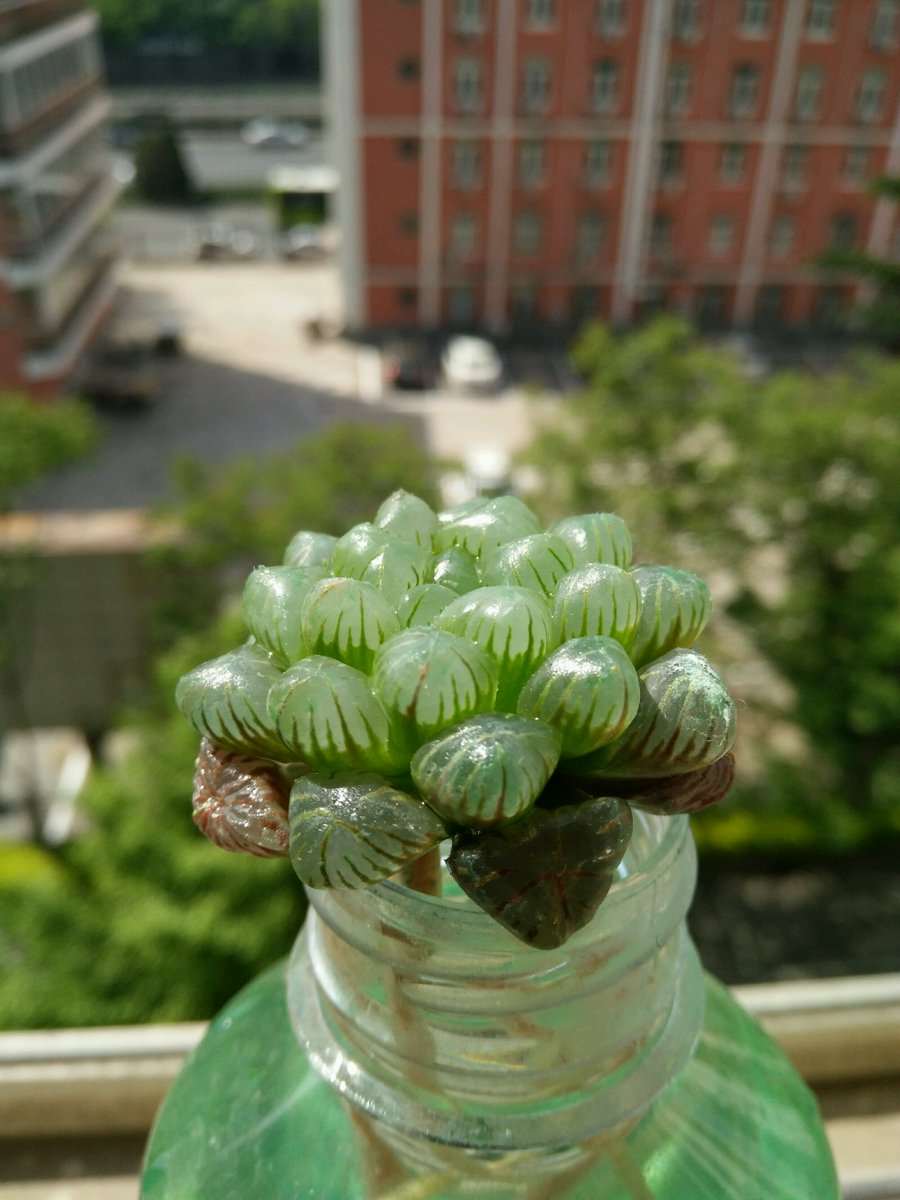 CJ O'Connell tweet media