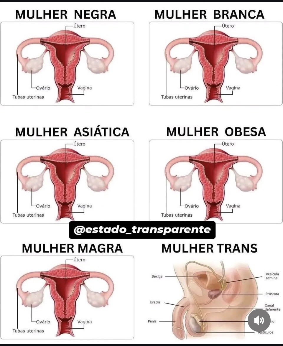 matheus.exe tweet media