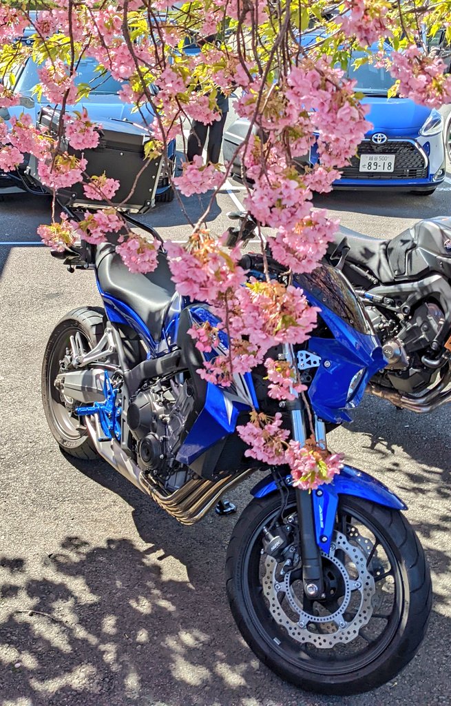 KPGC10_R34's tweet photo. #お気に入りの一枚
#HONDA
#HORNET250
#CB650F
#MONKEY125
#CB1000R https://t.co/gqRir5KVMg