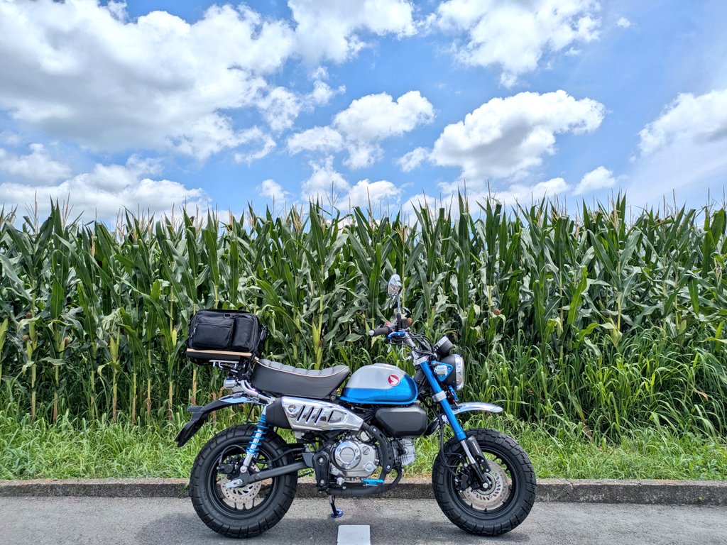 KPGC10_R34's tweet photo. #お気に入りの一枚
#HONDA
#HORNET250
#CB650F
#MONKEY125
#CB1000R https://t.co/gqRir5KVMg