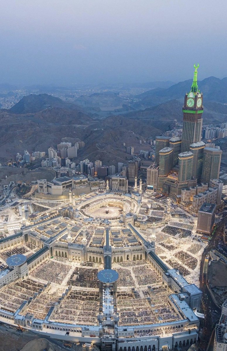 Reem Mohammed⚖️ tweet media