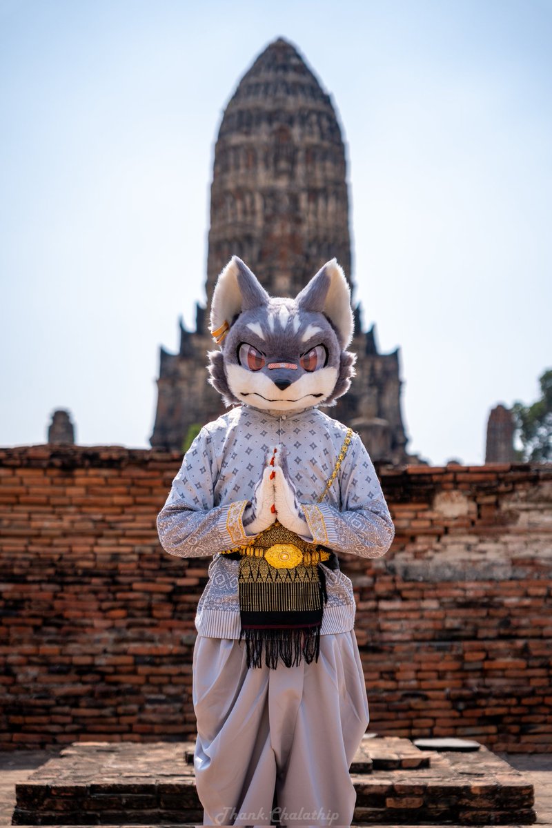 Link🔜Thaitails 🇹🇭 tweet media